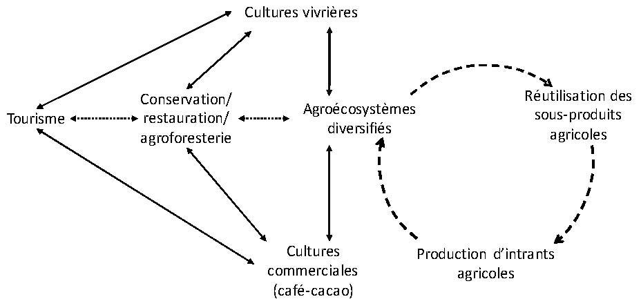 Figure 2 : Des articulations productives centrées sur la diversification des productions agricoles