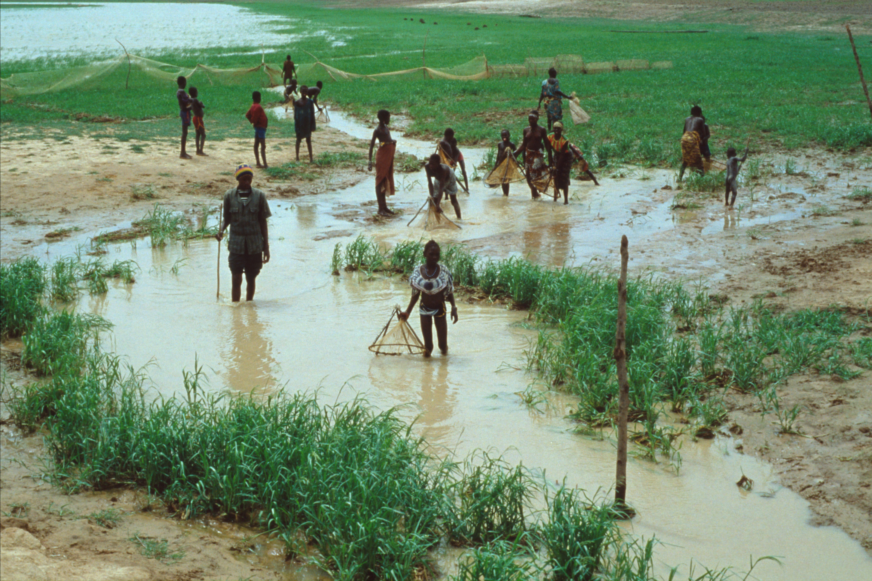Figure 3 : Pêche collective dans le Delta Central du Niger